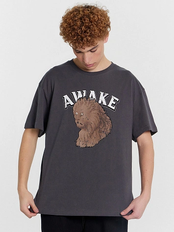 Футболка мужская коричневая с принтом "awake"
