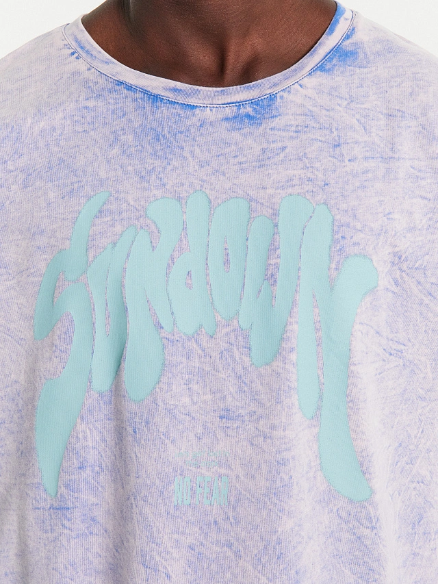 Футболка мужская голубя с обработкой эйсид - 5