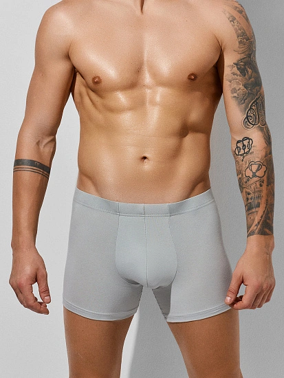 картинка Трусы боксеры мужские серые  от магазина мужской одежды Mark Formelle