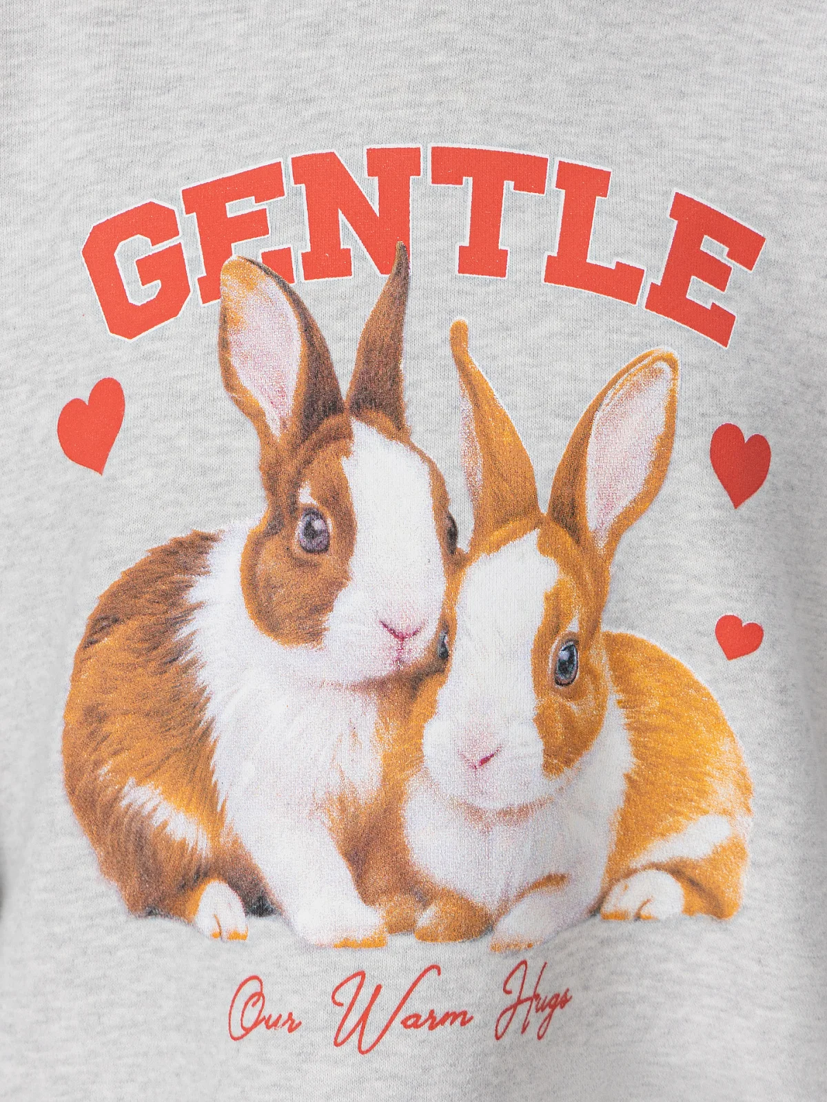 Худи для девочек серое с принтом и надписью "gentle" - 6