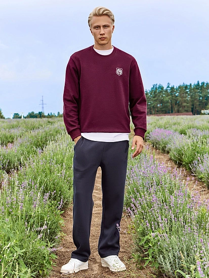 картинка Брюки мужские синие от магазина мужской одежды Mark Formelle