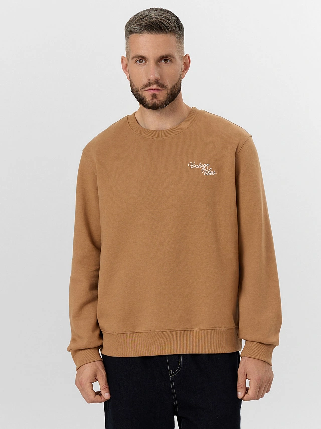 Свитшот мужской бежевый с надписью – купить онлайн в Mark Formelle