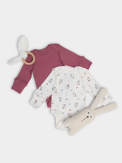 картинка Боди детское в наборе, 2 шт от магазина Одежда+