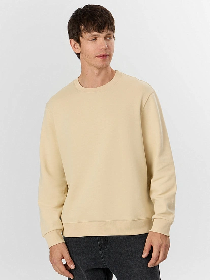 картинка Свитшот мужской бежевый от магазина мужской одежды Mark Formelle