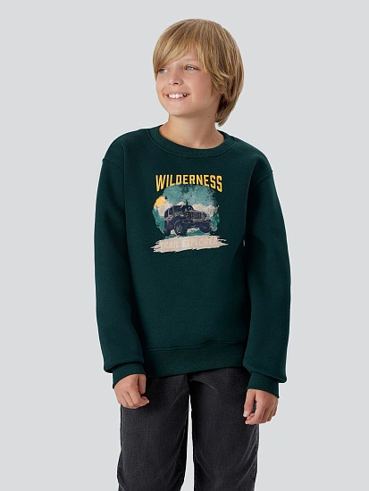 картинка Свитшот для мальчиков зеленый с надписью "Wilderness" от магазина одежды для мальчиков от бренда Mark Formelle