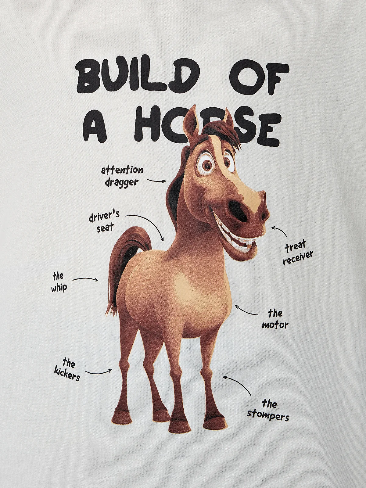 Комплект для мальчиков с надписью "Build of a horse"