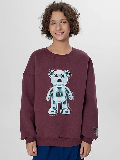 картинка Теплый свитшот для мальчиков коричневый с начесом от магазина одежды для мальчиков от бренда Mark Formelle