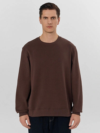 картинка Свитшот мужской коричневый от магазина мужской одежды Mark Formelle