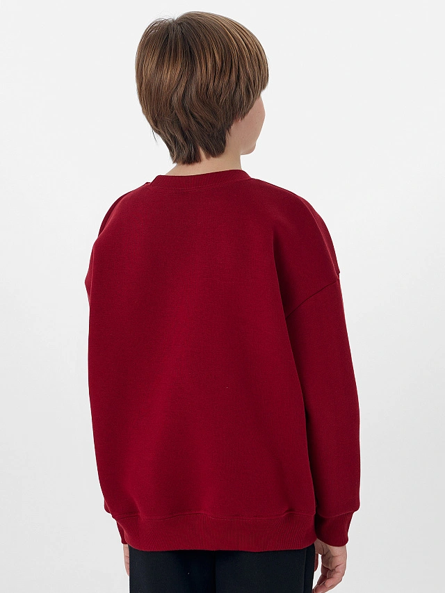 СВИТШОТ ДЛЯ МАЛЬЧИКОВ - 2