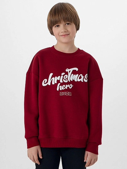 картинка СВИТШОТ ДЛЯ МАЛЬЧИКОВ от магазина одежды для мальчиков от бренда Mark Formelle