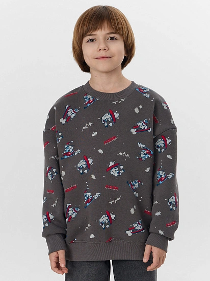 картинка СВИТШОТ ДЛЯ МАЛЬЧИКОВ от магазина одежды для мальчиков от бренда Mark Formelle