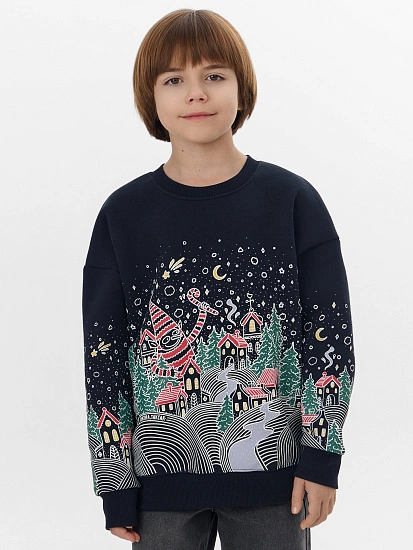 картинка СВИТШОТ ДЛЯ МАЛЬЧИКОВ от магазина одежды для мальчиков от бренда Mark Formelle