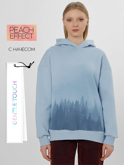 картинка Теплое худи женское голубое с начесом от магазина стильной одежды Mark Formelle