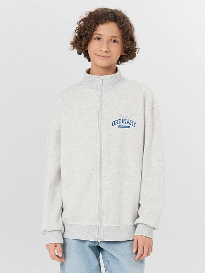 картинка ТОЛСТОВКА ДЛЯ МАЛЬЧИКОВ от магазина одежды для мальчиков от бренда Mark Formelle