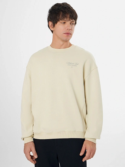 картинка Свитшот мужской бежевый с надписью от магазина мужской одежды Mark Formelle