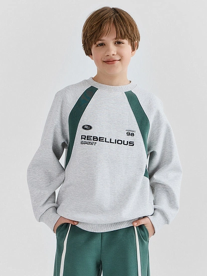 картинка СВИТШОТ ДЛЯ МАЛЬЧИКОВ от магазина одежды для мальчиков от бренда Mark Formelle