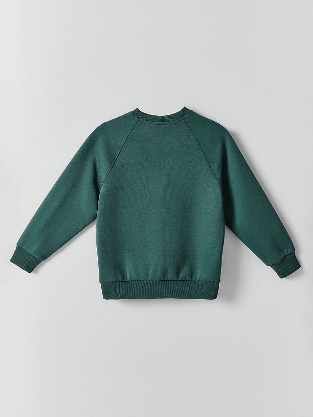 СВИТШОТ ДЛЯ МАЛЬЧИКОВ - 7